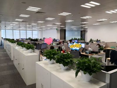 喬遷大吉！級掌柜新辦公空間全面揭秘，科技與舒適完美融合